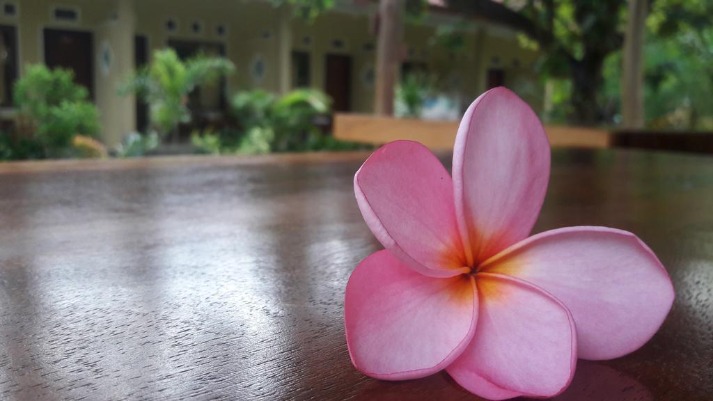Imelda Homestay Kuta Lombok Kültér fotó